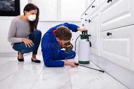 Best Real Estate Pest Inspections  in Coal Run Village, KY